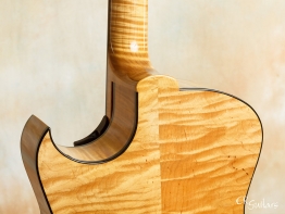 Marchione-15-Archtop-5
